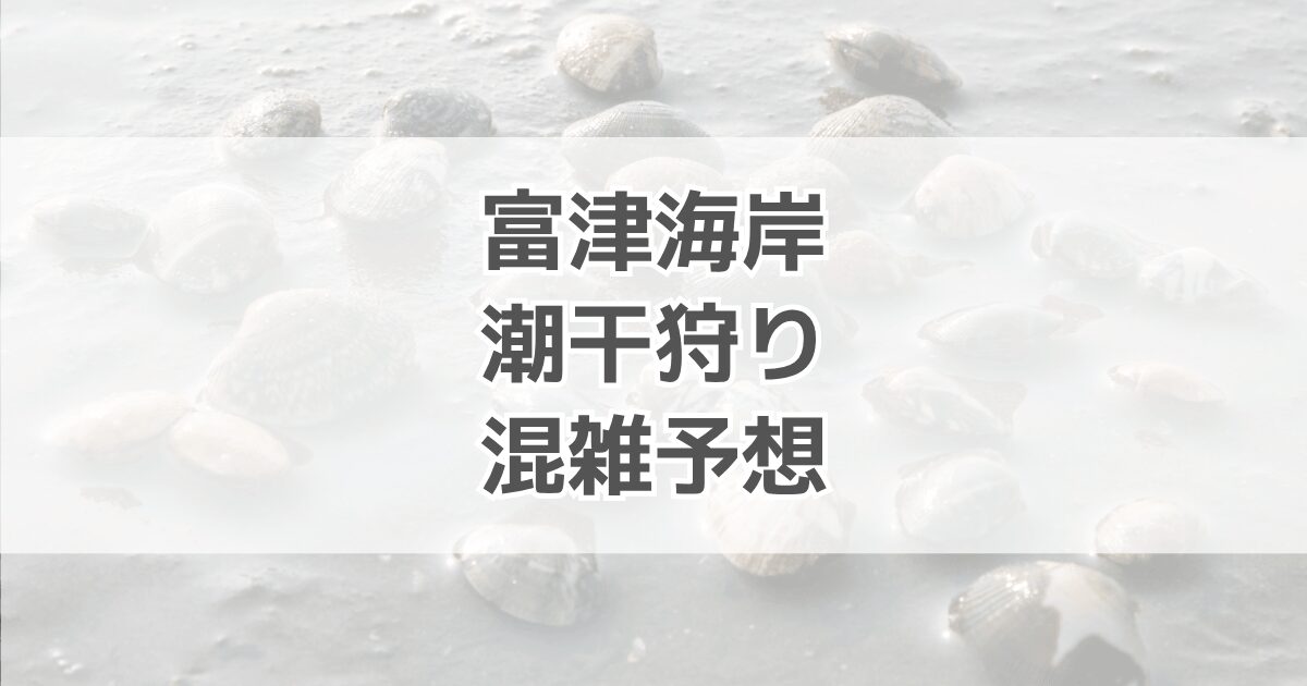 富津海岸の潮干狩り混雑予想！駐車場やチケット前売り券情報も紹介