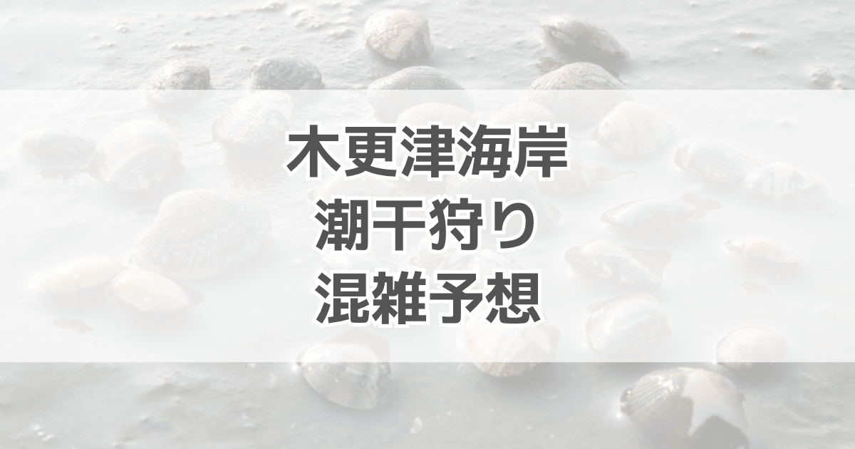 木更津海岸の潮干狩り混雑予想！駐車場情報も紹介