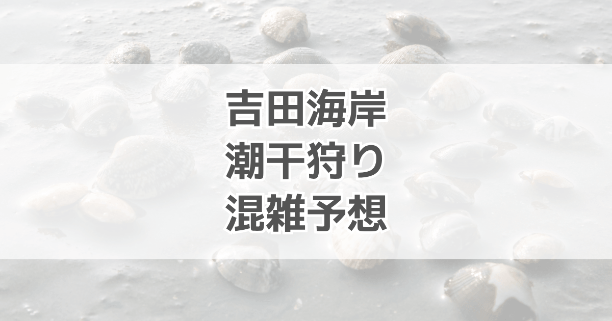 吉田海岸の潮干狩り混雑予想！駐車場情報も紹介