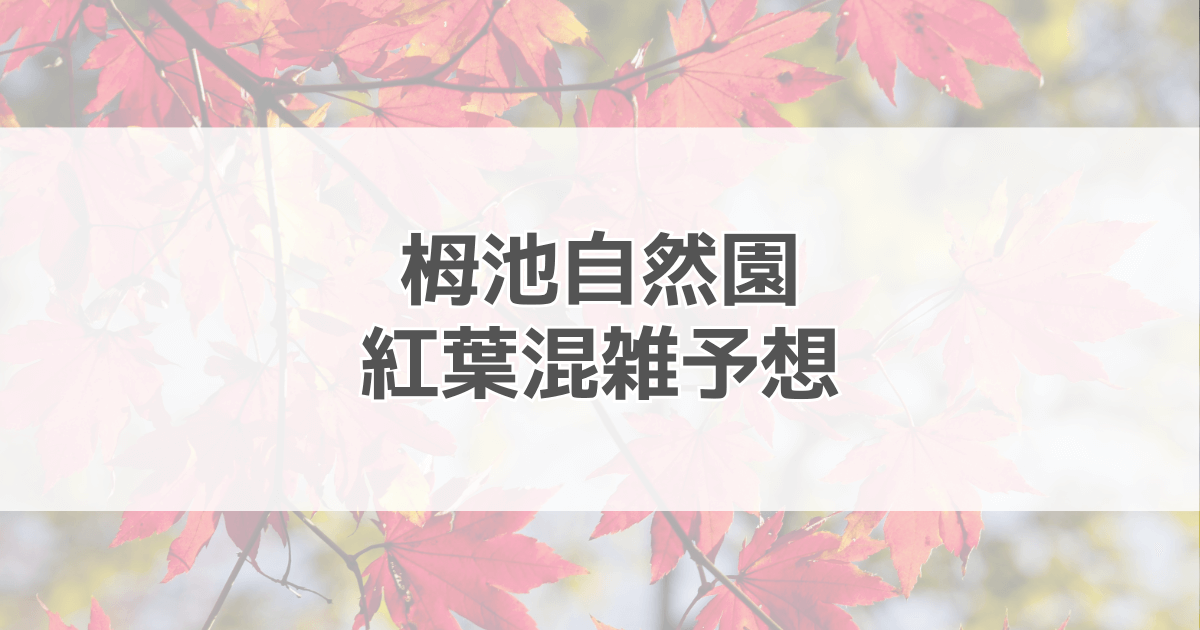 栂池自然園紅葉の混雑予想2024！駐車場情報も紹介