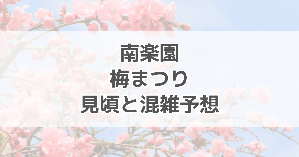 南楽園梅まつりの見頃やライトアップの有無は？混雑予想も紹介