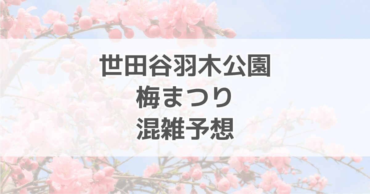 世田谷羽根木公園梅まつりの混雑予想！出店・駐車場情報も紹介