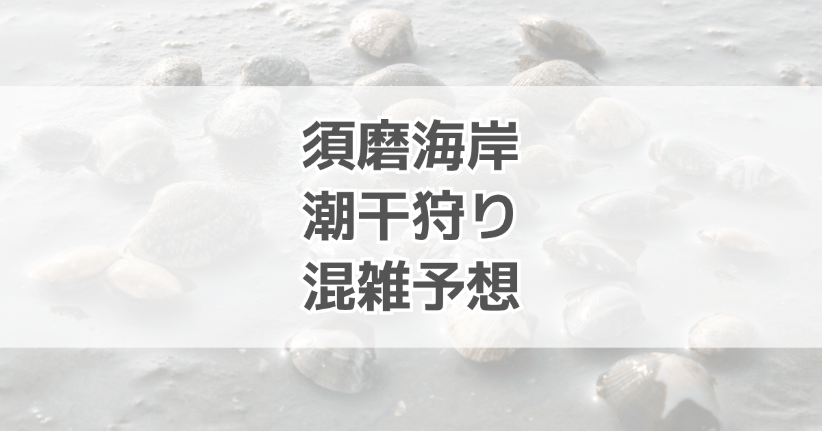 須磨海岸の潮干狩り混雑予想！駐車場や前売り・割引情報も紹介